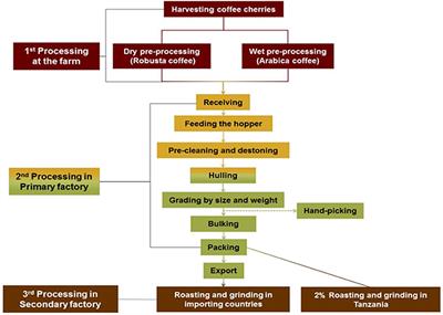 Dust Exposure and Respiratory Health Among Workers in Primary Coffee Processing Factories in Tanzania and Ethiopia